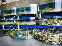 水产区-蓝珊甄选海鲜自助·火锅大排档(近阿那亚店)