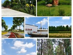 -上海长兴岛郊野公园