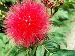 -文儒九号·闽菜馆(三坊七巷店)