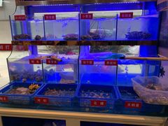 -小龍鳳·港式海鲜打边炉(沙湖路店)