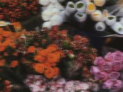 -循礼门鲜花花市(武汉循礼门店)