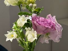 -伊斯坦布尔土耳其清真咖啡餐厅