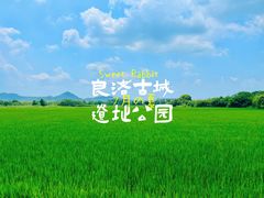 -良渚古城遗址公园