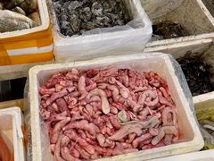 -华威西营里农产品批发市场