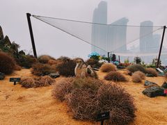 -重庆市江北嘴中央商务区中央公园