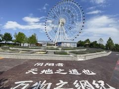 -特克斯八卦城