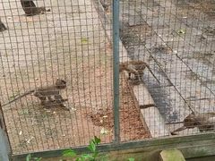 -柳州市动物园