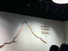 -吃茶三千(海港城店)