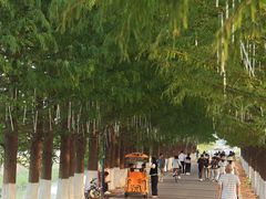 -嘉北郊野公园