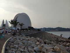 -野狸岛