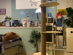 -平行世界·猫咖(首经贸店)