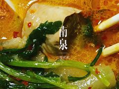 麻辣烫-重庆麻辣烫(国权路店)