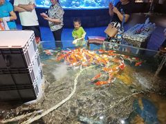 -太平洋海底世界