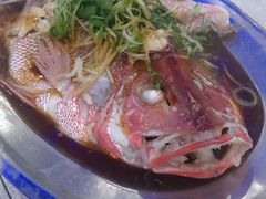 -旅南活海鲜-屏东(墾丁海鮮，海鮮餐廳，墾丁團體合菜，平價熱炒，墾丁熱炒店，活海鮮推薦，在地海鮮餐廳)