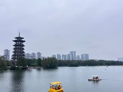 -洋湖国家湿地公园