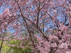 -中关村生命科学园