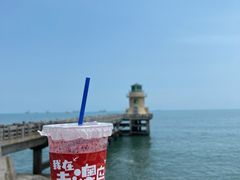 -南澳岛打卡果汁冰公司