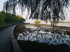 -长广溪湿地公园