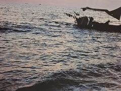 -映像威海·海鲜味道(经区店)