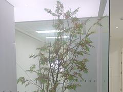 -极简口腔(总院)