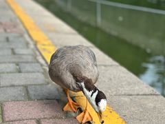 -北京动物园