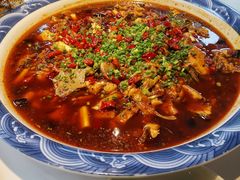 -新概念来凤鱼(璧山店)