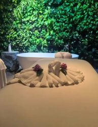 -VELEE·SPA高定疗愈会所