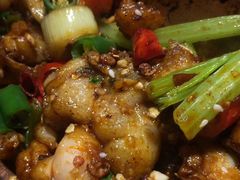 -蛙麻蛙辣炭火蛙锅(南环大街店)