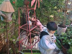 -鱼乐岛餐厅·户外花园主题餐厅