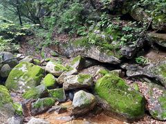 -驼梁风景区
