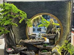 -紫藤园·天目湖大鱼头(南山竹海店)
