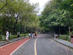 -水濂山森林公园