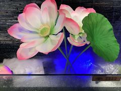 -大榕树下顺德菜(融创茂店)