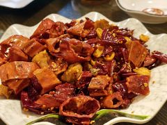 -西单翅酷(西单店)