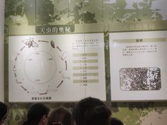 -杭州西湖丝绸文化博物馆