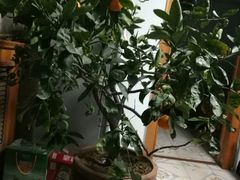 -老李客栈民宿餐厅