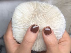 -Hands Nail专业美甲美睫