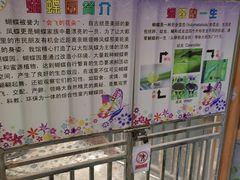 -上海大自然野生昆虫馆(东方明珠·爬宠昆虫探索中心)