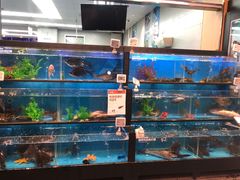 水产区-盒马鲜生(宝地店)