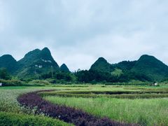 -靖西鹅泉风景区