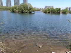 -长白岛森林公园