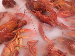 -杨氏青龙虾·羊蝎子(珠江路店)