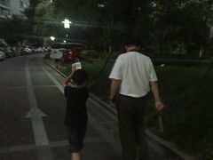 -新湖明珠城