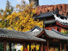 -上海东林寺(金山区)
