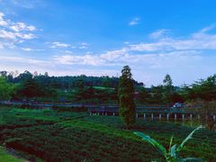 -美的鹭湖探索王国