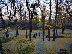 -阳台山自然风景区