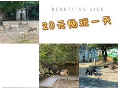 -广州动物园