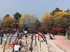 -铁山坪森林公园