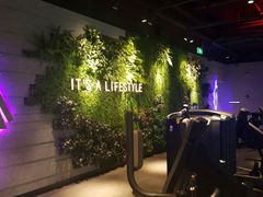 -威尔仕健身·游泳(KING88店)