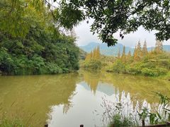 -田野绿世界